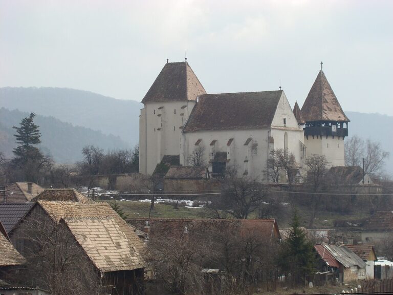 BaznaSB_(16)