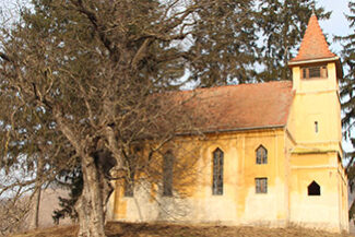 Puschendorf_Artikelbild