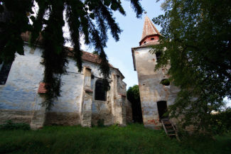 Schlatt_0004__MG_4793